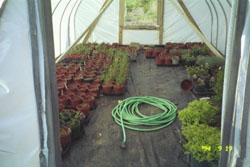holland landscape contractor